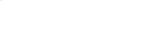 Ivan Gatti Produzioni Srl